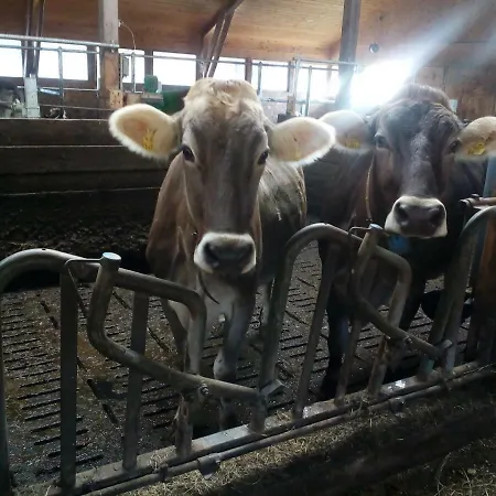 Apartamento Stroblhof Aich (Styria)