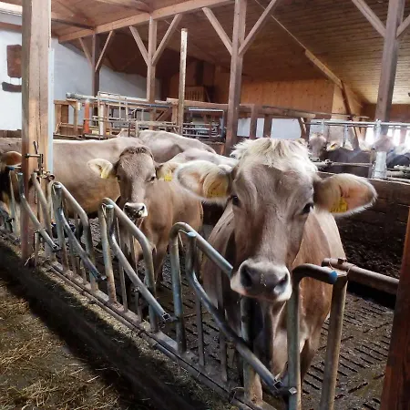 Apartmán Stroblhof *