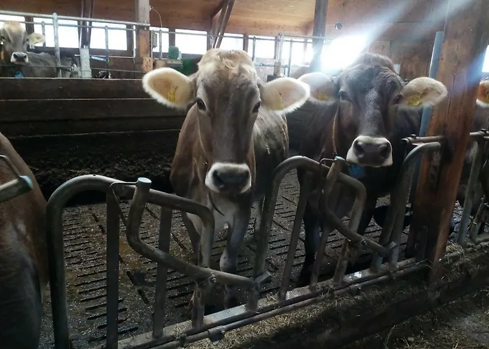 Appartement Stroblhof Aich (Styria)