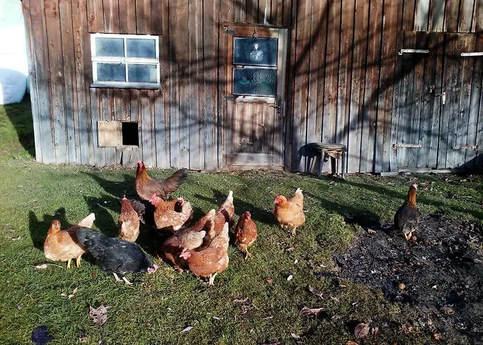 Stroblhof Apartmán Aich (Styria)