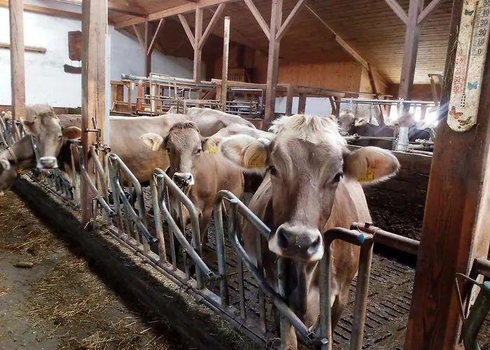 Appartement Stroblhof *